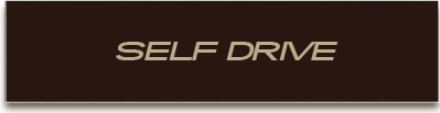 Self Drive