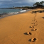 - Dixie Maru Beach