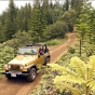 - Munro Trail